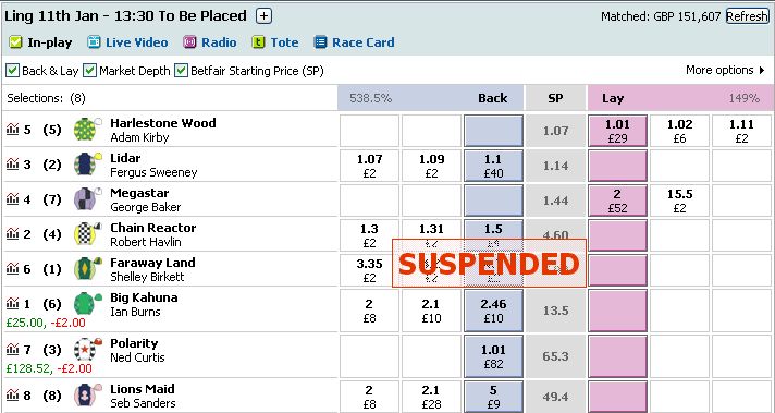 Betfair Screen